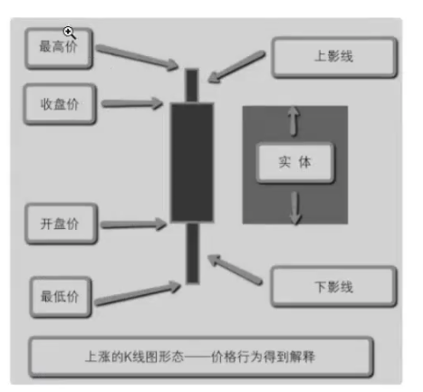 image-20240825212345729